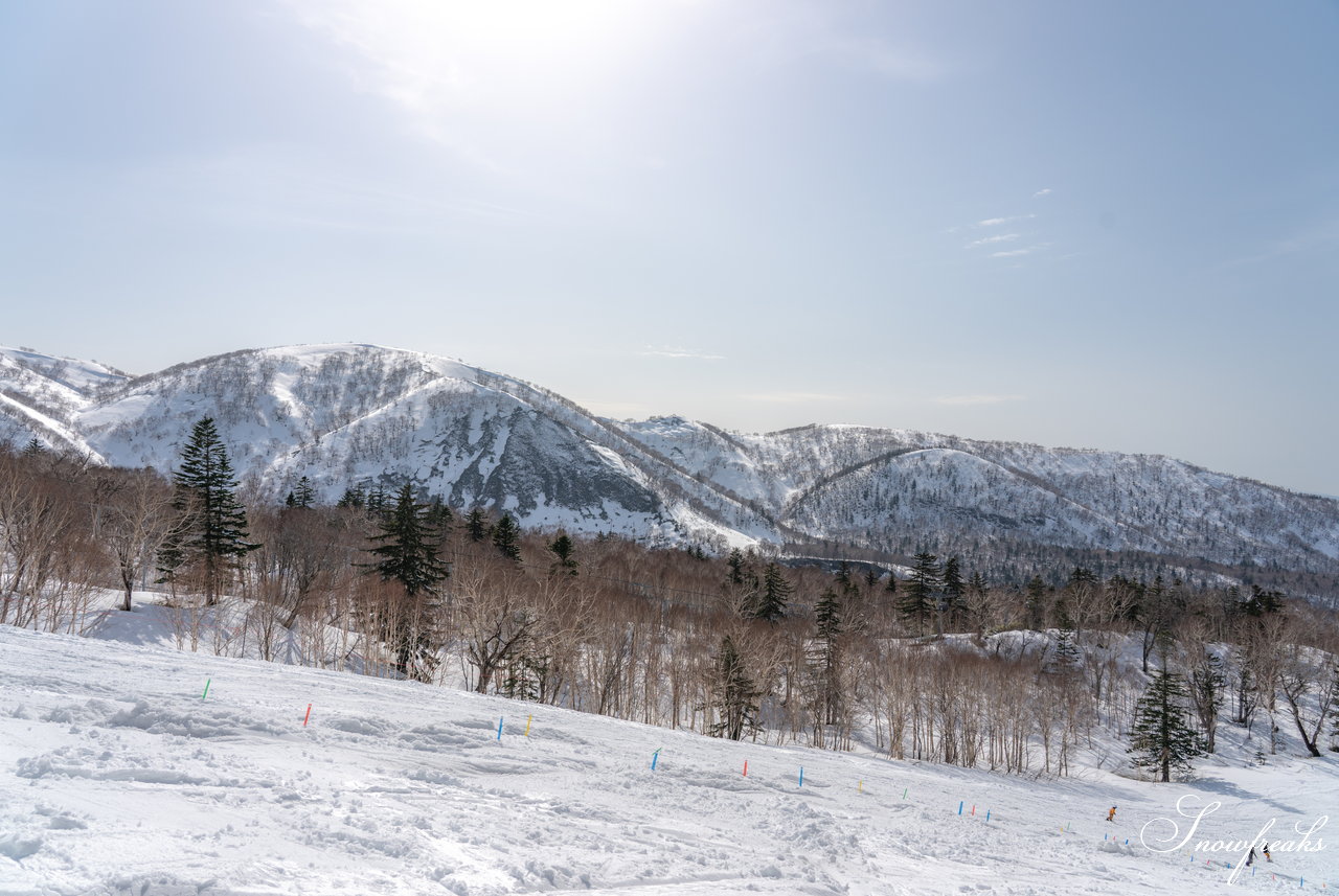 キロロリゾート　本当に明日でシーズン終わり？！まだまだ積雪豊富なキロロでGW春スキーを満喫(*^^*)